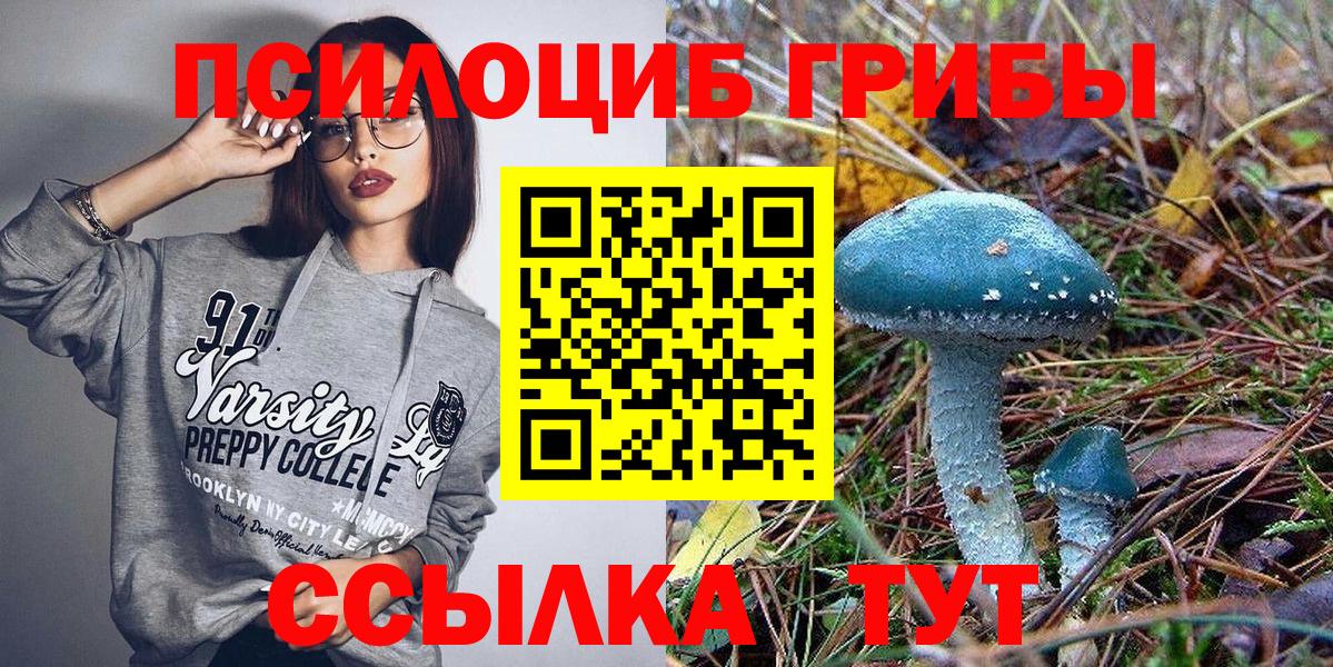 Армавир  Псилоцибиновые грибы GOLDEN TEACHER  Псилоцибиновые грибы Magic Shrooms  что такое   Вход с VPN 
